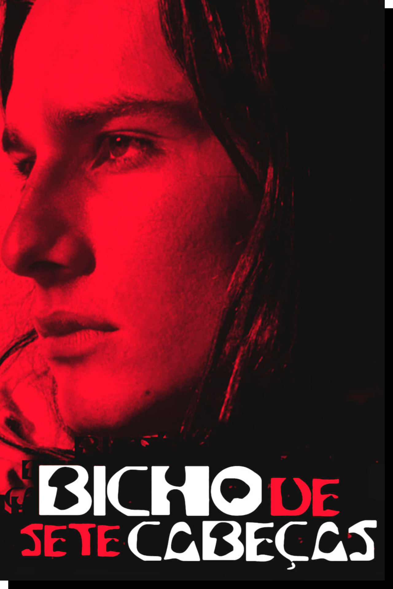 Poster de Bicho de Sete Cabeças